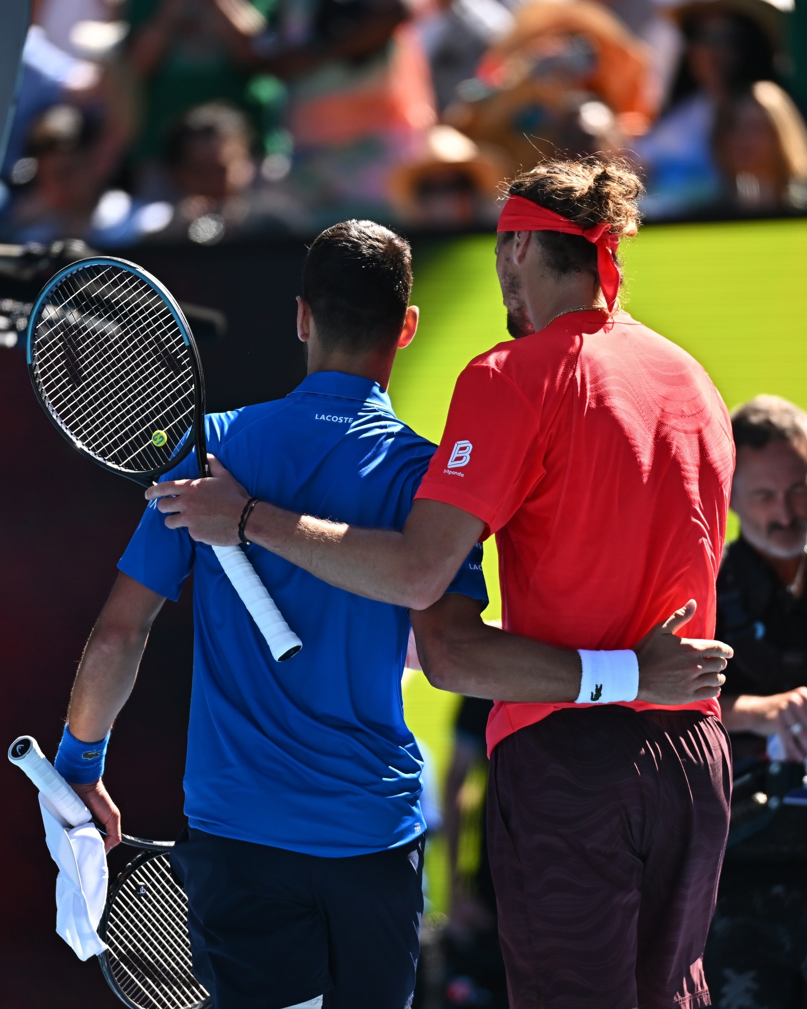 戴维斯杯碾压温网,梅德韦杰夫关键制胜 戴维斯杯碾压温网,梅德韦杰夫关键制胜