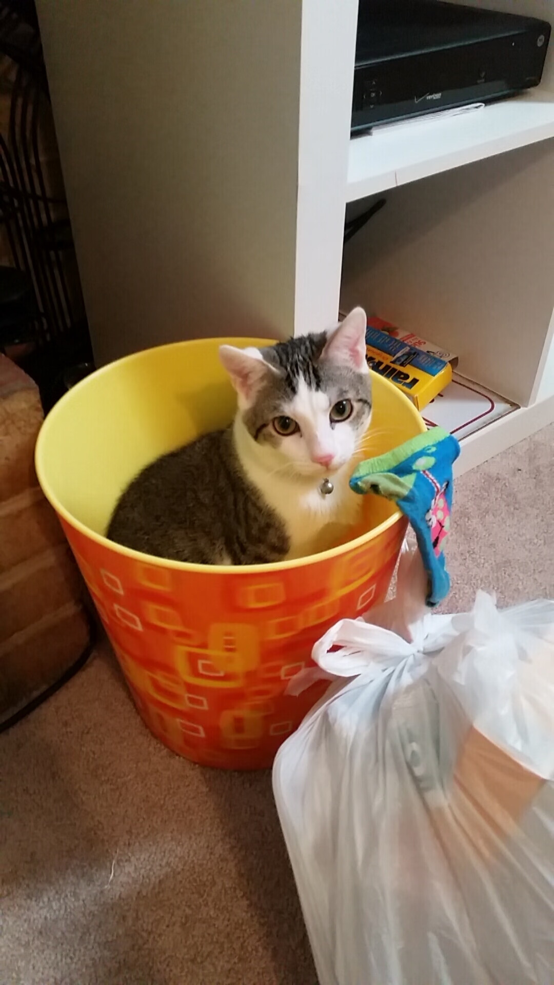 黑色潮汐席卷克城，德罗赞以孤胆船长之姿，率开拓者碾碎骑士主场