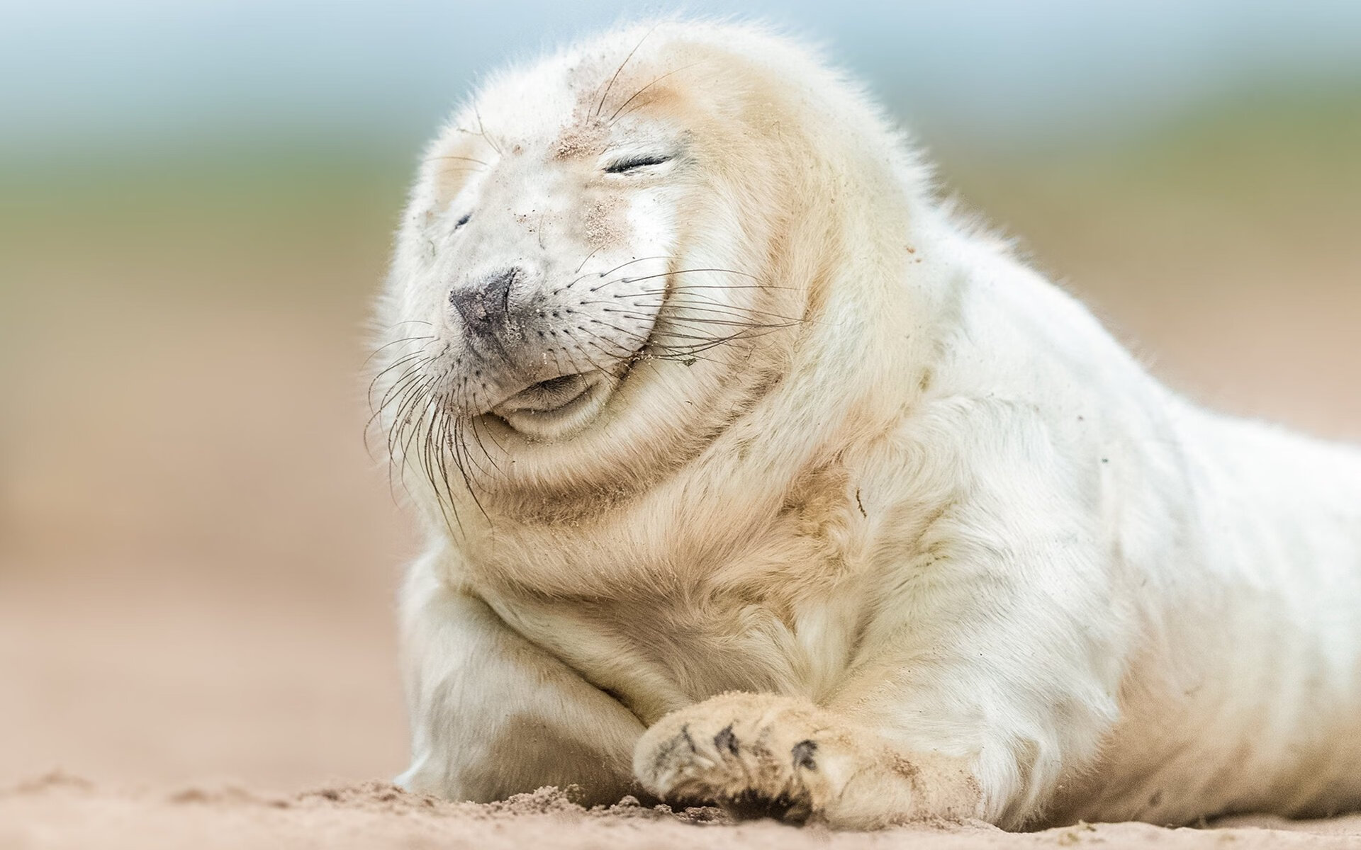 跨界巅峰夜，雄鹿硬仗击溃浙江队，伦纳德欧冠半决赛演绎王者归来