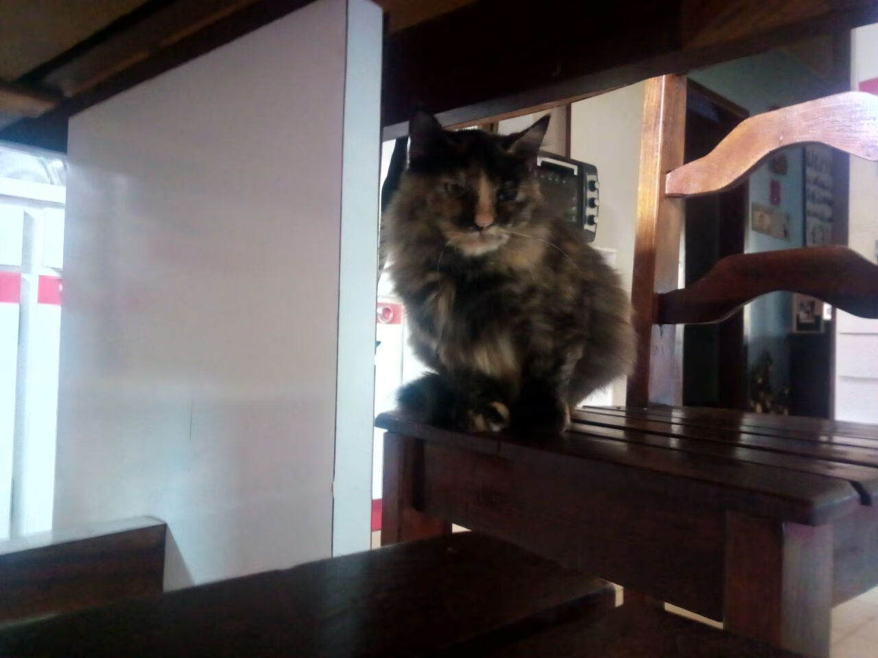 狮王东游，西亚卡姆统治明尼苏达之夜，黄蜂稳扎稳打撕裂森林狼防线