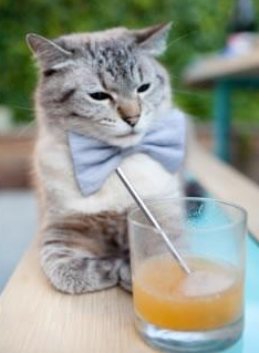 巴黎的权杖，马拉喀什的绸缎，迪巴拉用古典诗意对抗功利洪流