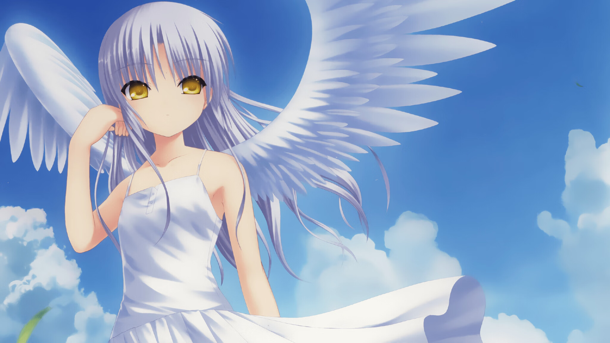 燃烧的十字与锋利的獠牙