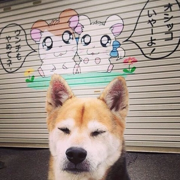 伯纳乌的陌生来客，当卡马文加的爆发，决定了一场本不该存在的决胜局