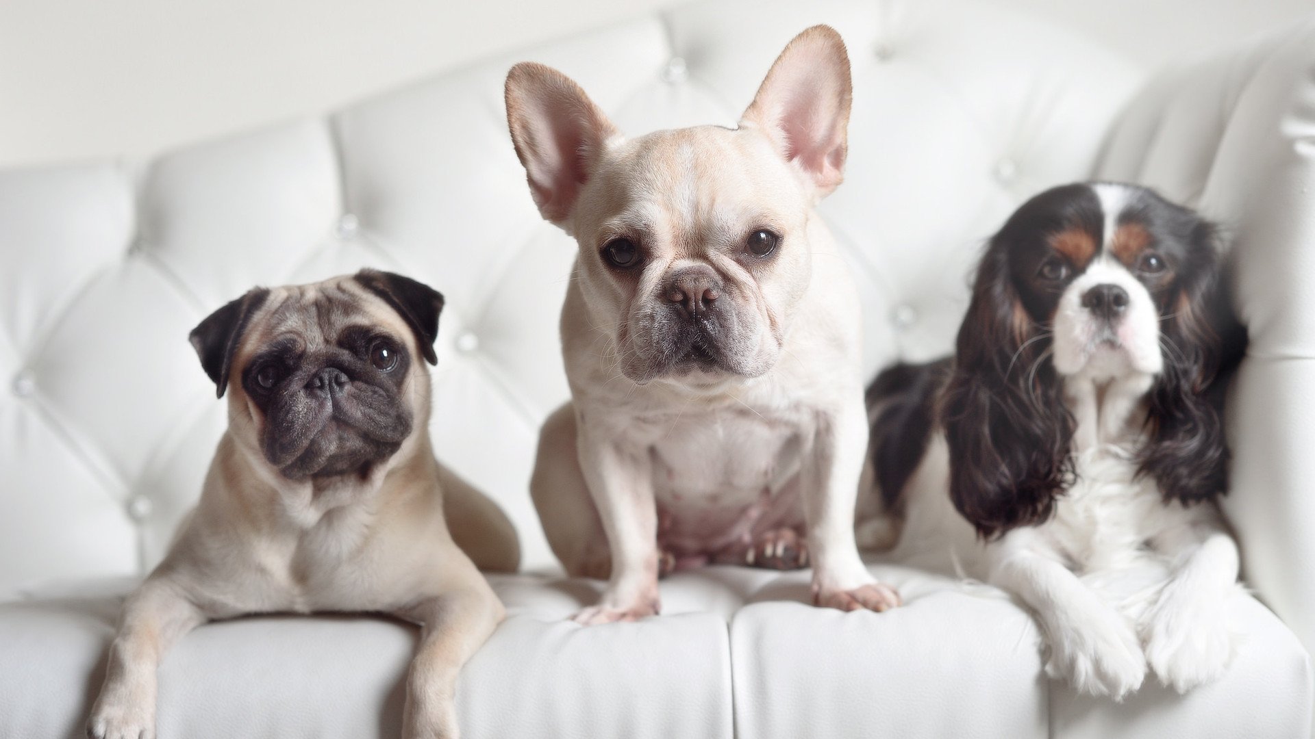 逆风之钥，基米希一射定乾坤，拜仁鏖战攻克克罗地亚铁壁