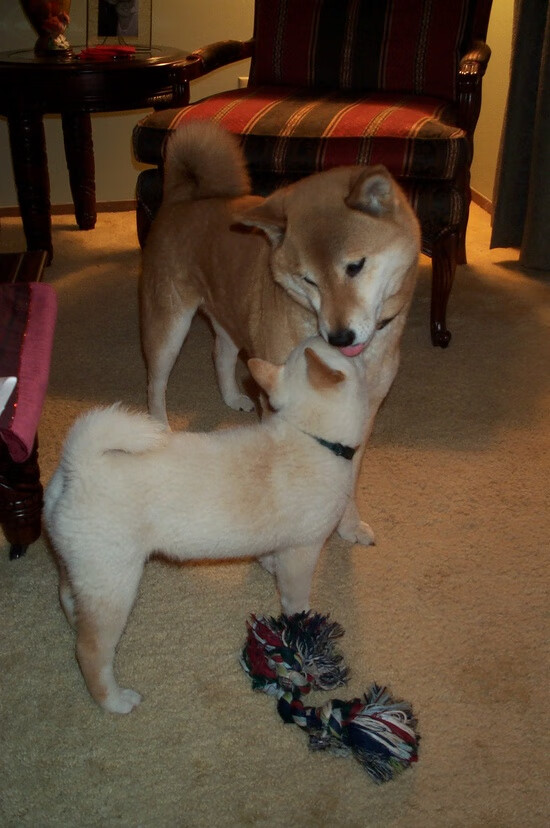 红魔战神一夫当关，门迪神扑狙击枪手