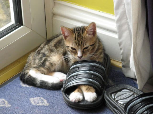 抢七绿茵狙击手，76人爆冷拆穿骑士不败金身