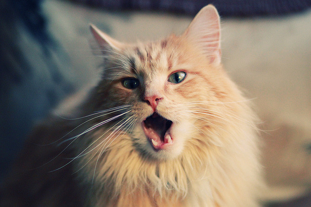 独舞时刻，当个人英雄主义在篮球世界璀璨绽放